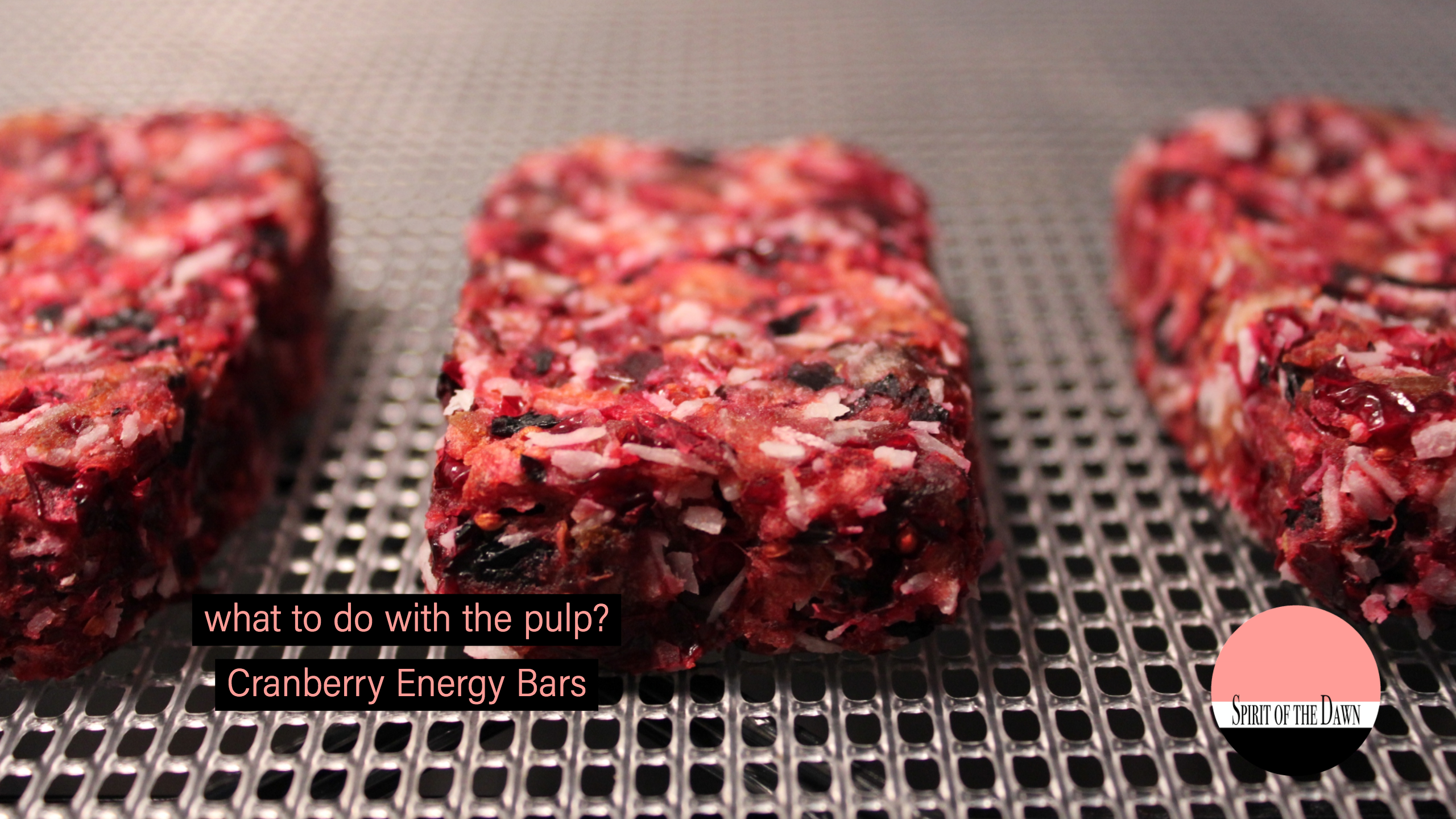 Cranberry Energy Bars